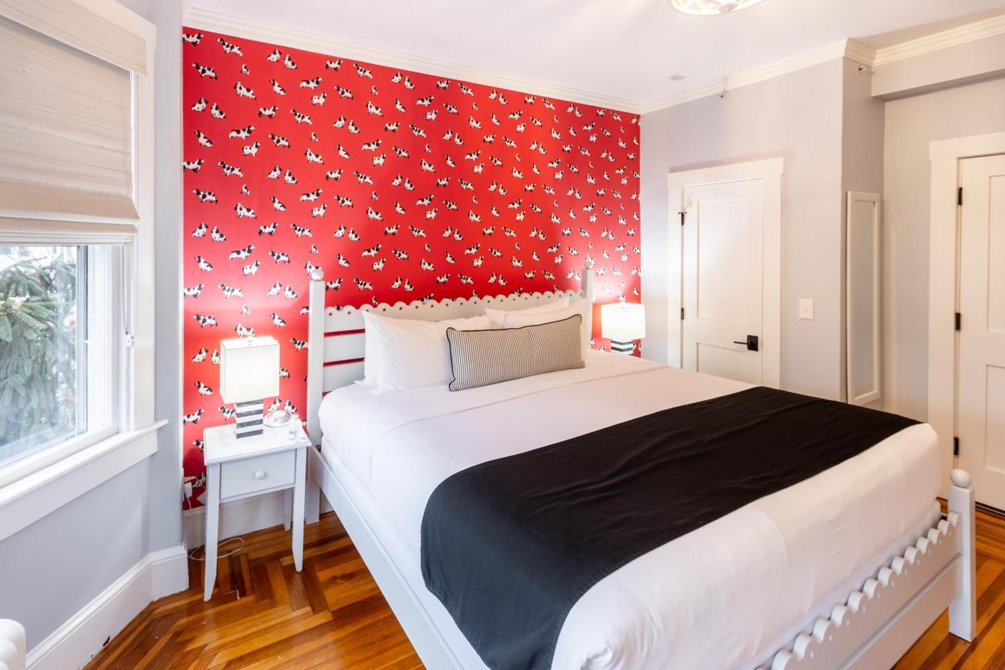 Bed and Breakfast Paws On Pelham (Adults Only) Newport Exterior foto